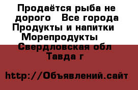 Продаётся рыба не дорого - Все города Продукты и напитки » Морепродукты   . Свердловская обл.,Тавда г.